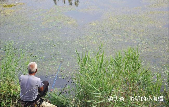 河边放生大米，人与自然和谐共生的温馨寓言