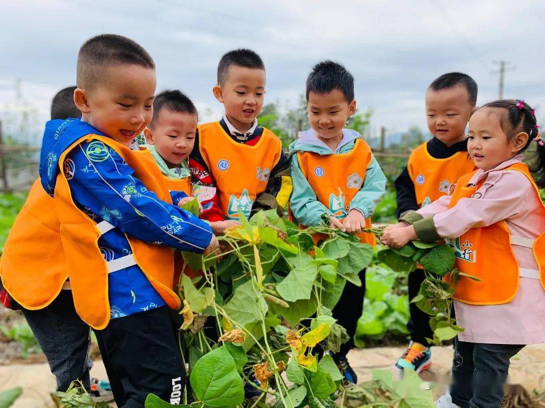 适合幼儿的自然教育课程概览