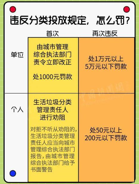 垃圾分类政策实施对环保的深远影响