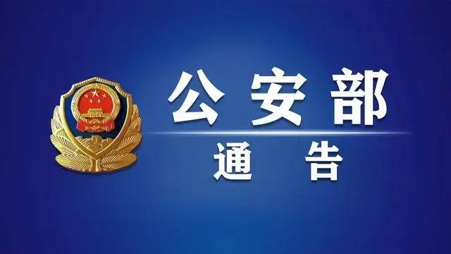 多部门协同打击跨境电信网络诈骗，构建安全数字环境的关键行动