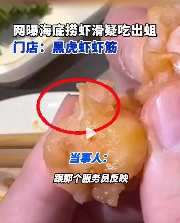 海底捞回应虾滑中出现蛆虫事件，食品安全责任与透明至关重要