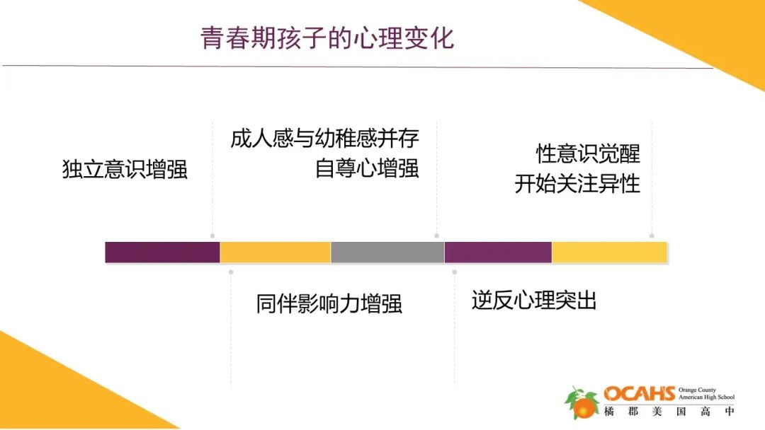 青少年心理健康教育与领导力的培养，如何助力青少年成为未来领导者