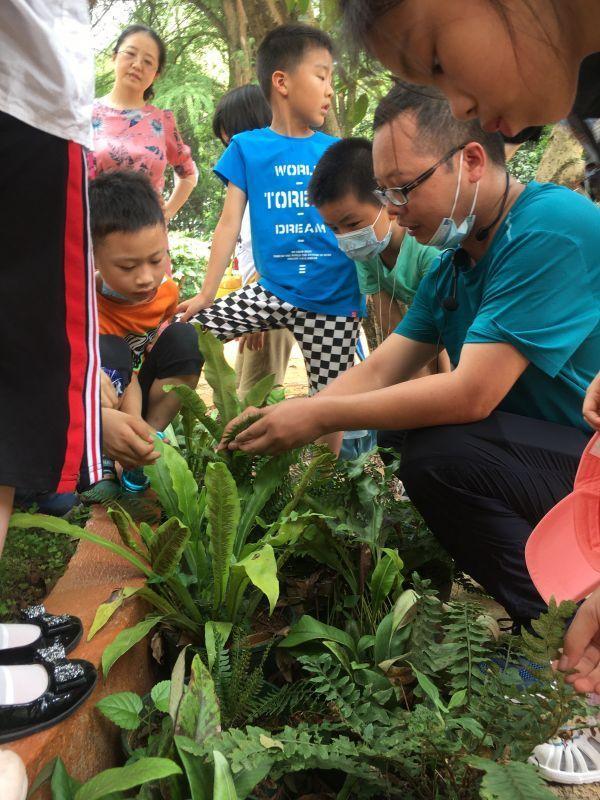 5岁儿童科普启蒙课堂，植物学家与孩子的知识碰撞之旅