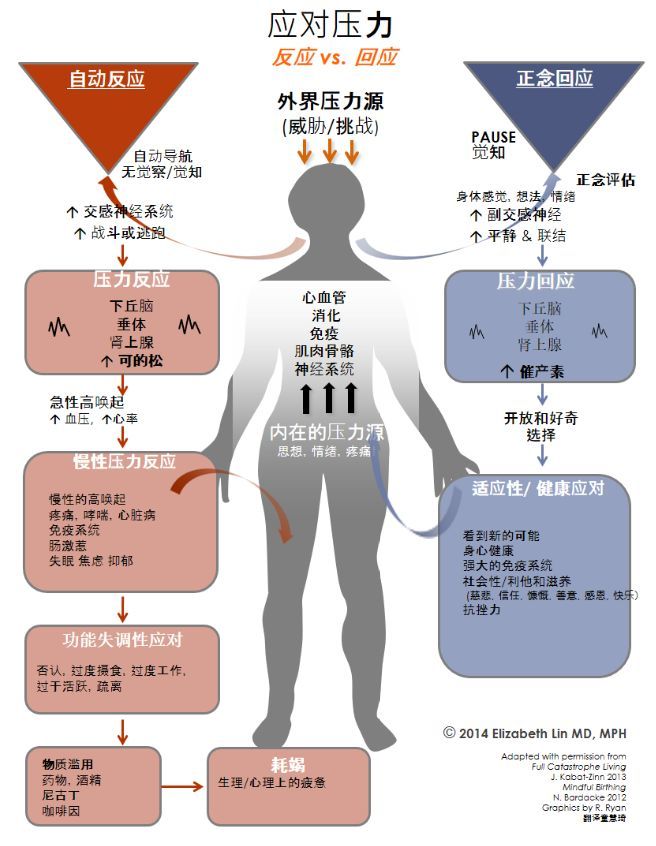 现代生活的平衡之道，设定健康边界，避免压力过载的探索