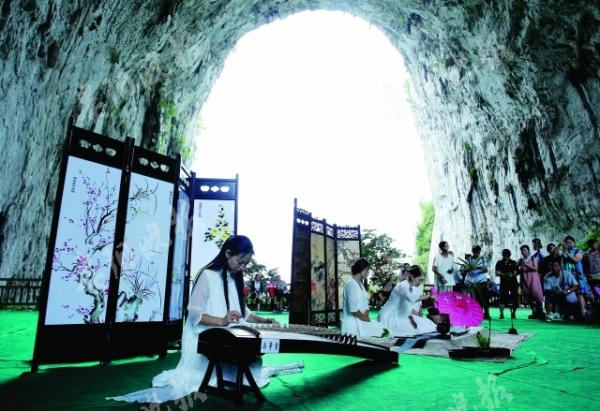 贵州发现洞穴植物新物种，开启地球生物多样性新篇章探索之旅