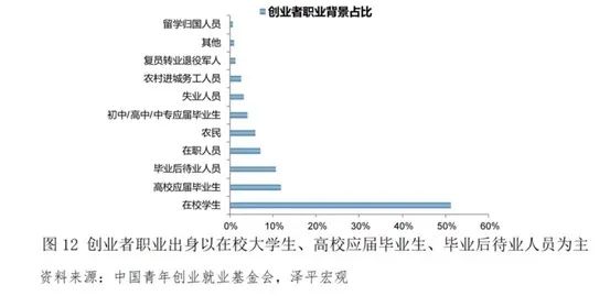 加大创业扶持与创新项目投入，激发大学生创业活力，打造未来经济新引擎