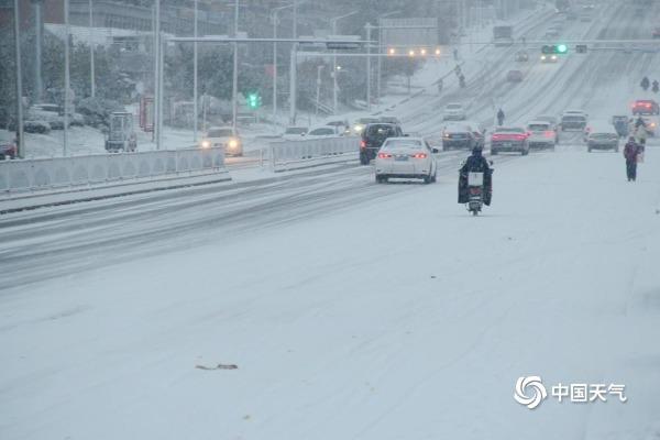 烟台鹅毛大雪纷飞，自然之美盛宴开启