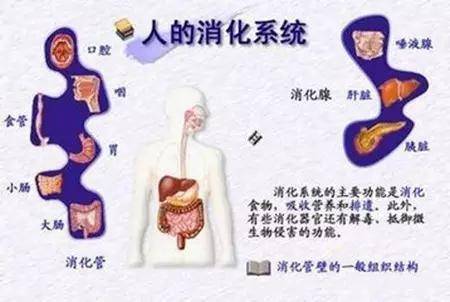 中医呼吸系统养生法，调理呼吸系统的健康之道